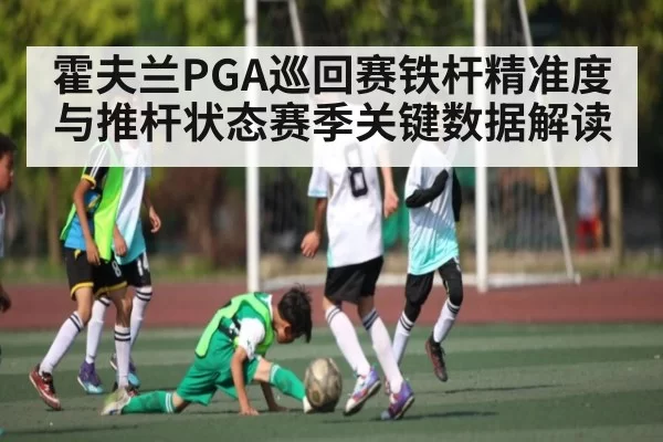 霍夫兰PGA巡回赛铁杆精准度与推杆状态赛季关键数据解读